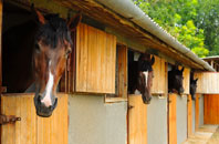 free Caunsall stable construction quotes